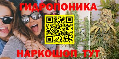 метадон Кингисепп