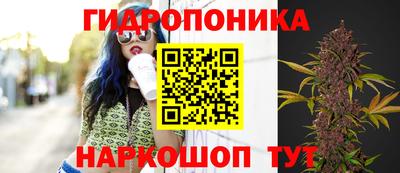 твердый Кимры