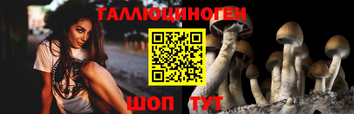где купить наркотик  Вход с VPN  Кострома  Галлюциногенные грибы Cubensis 